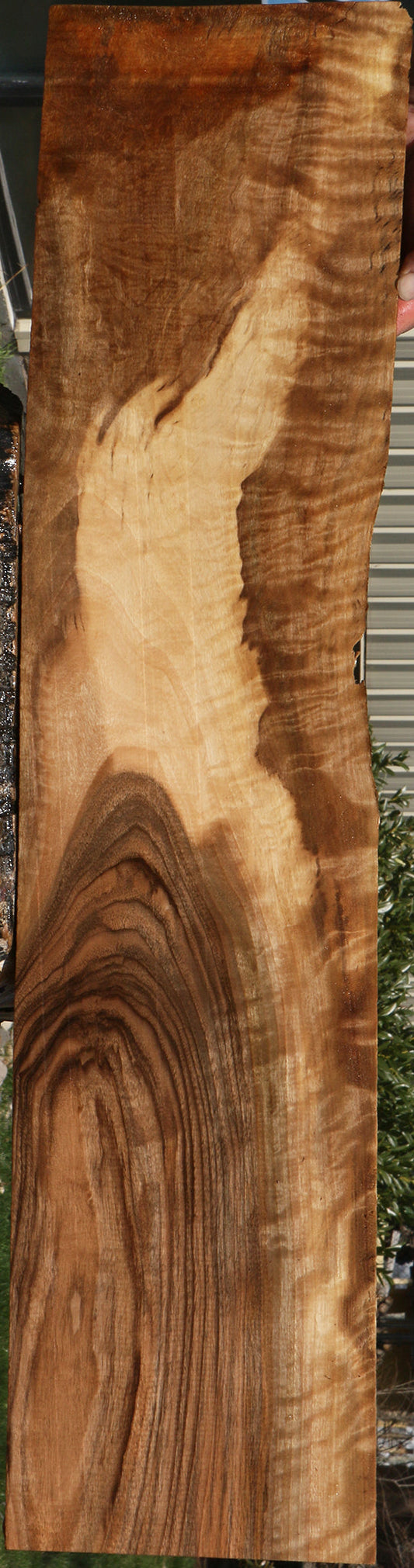 Extra Fancy English Walnut Live Edge Lumber
