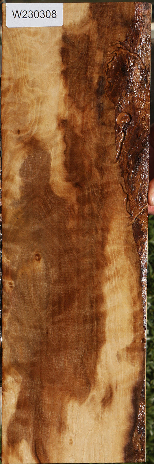 Figured English Walnut Micro Lumber