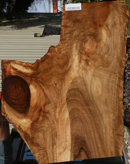 Figured English Walnut Live Edge Lumber