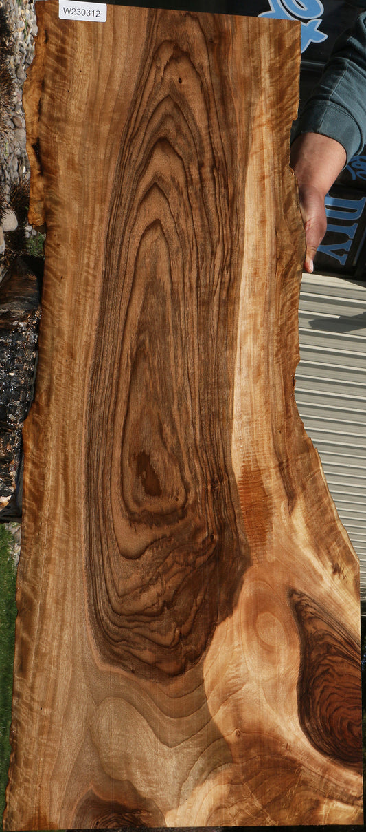 Extra Fancy English Walnut Live Edge Lumber
