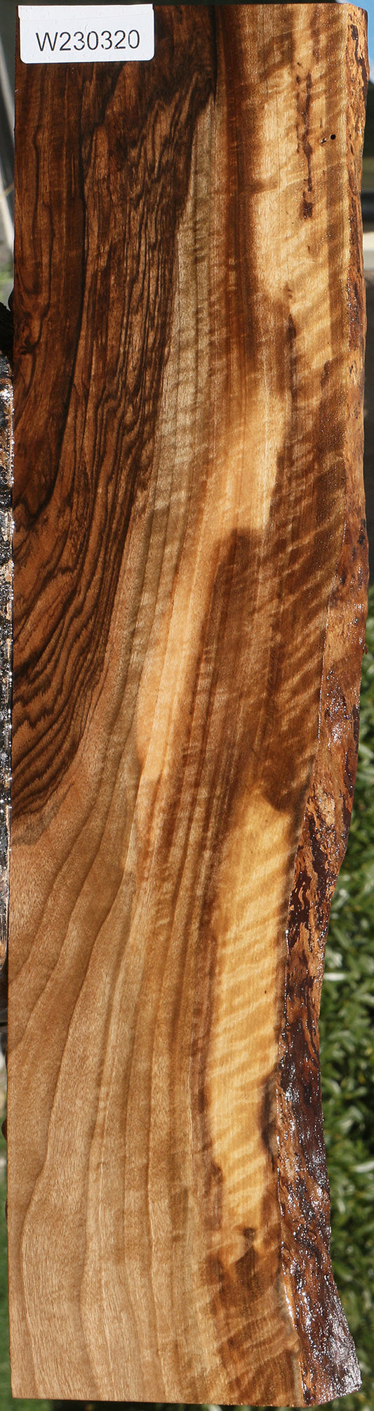 Extra Fancy English Walnut Live Edge Lumber