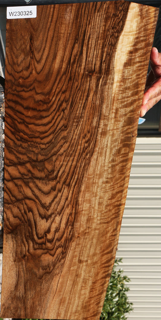 Exhibition English Walnut Instrument Lumber