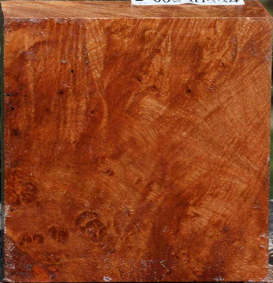 Extra Fancy Maple Burl Bowl Blank