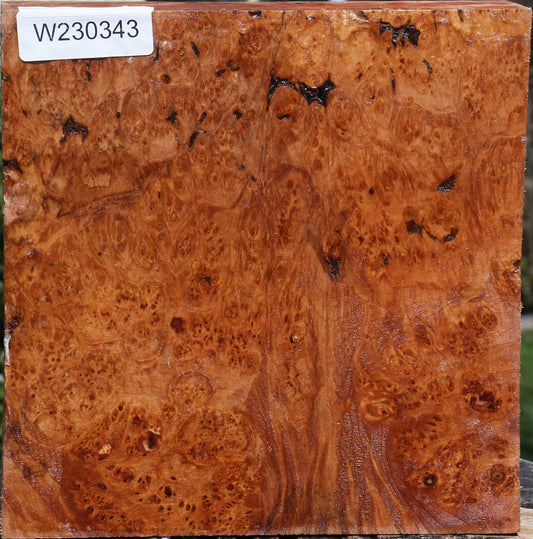 Maple Burl Bowl Blank