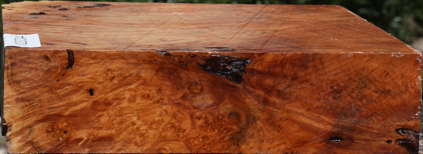 Maple Burl Bowl Blank