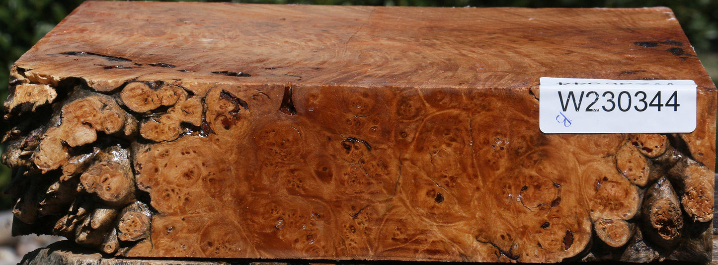 Maple Burl Bowl Blank