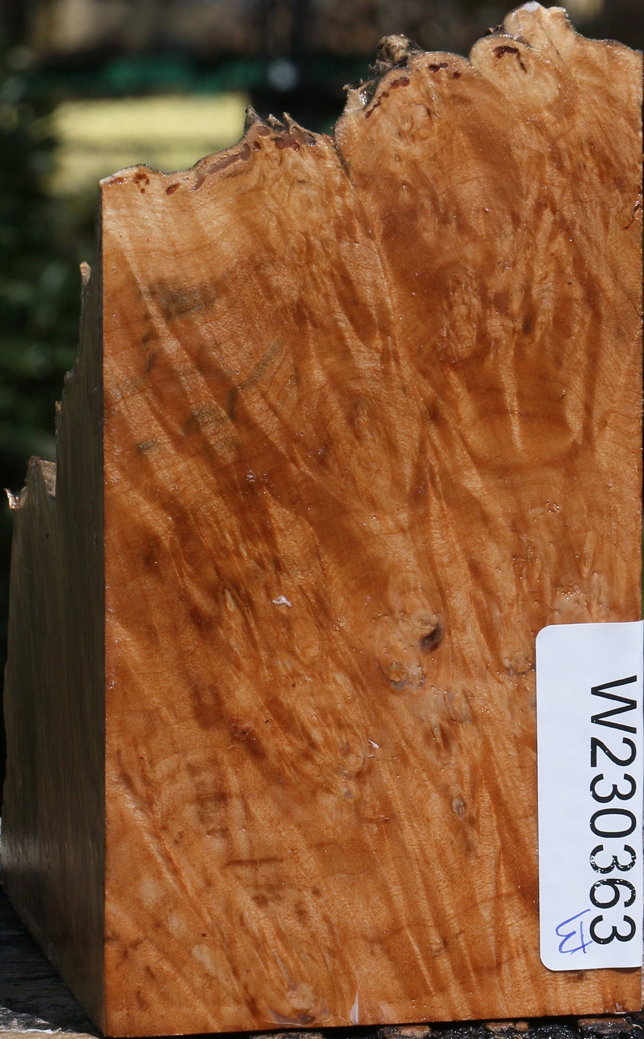 Maple Burl Live Edge Bowl Blank