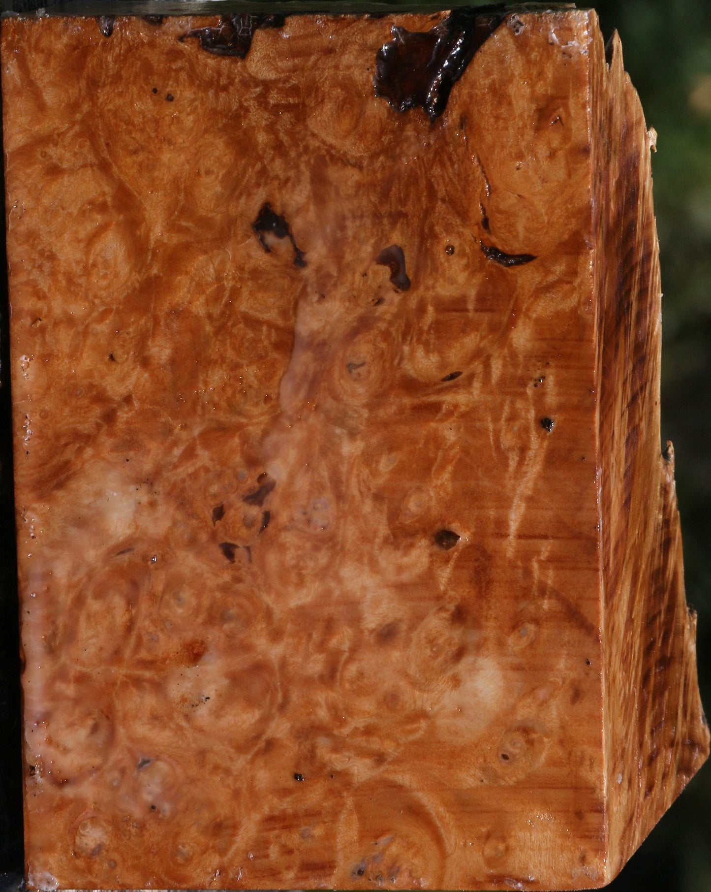 Maple Burl Live Edge Bowl Blank