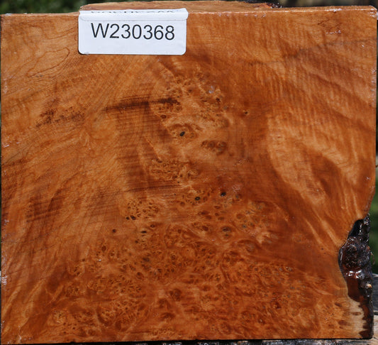 Maple Burl Live Edge Bowl Blank