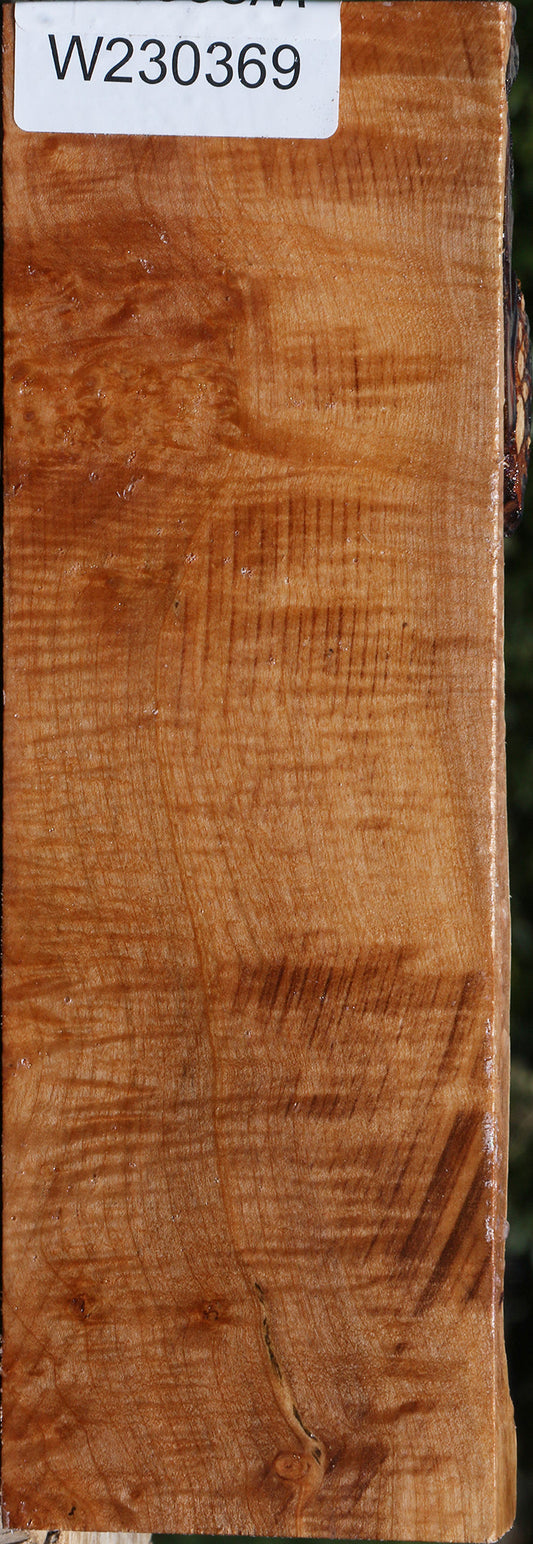 Maple Burl Turning Blank