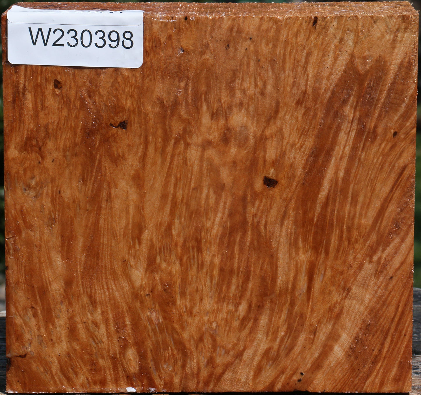 Maple Burl Bowl Blank