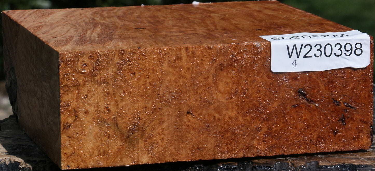 Maple Burl Bowl Blank