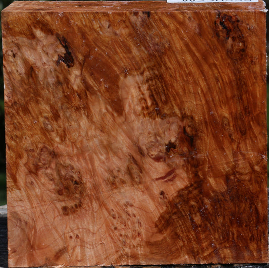 Maple Burl Bowl Blank