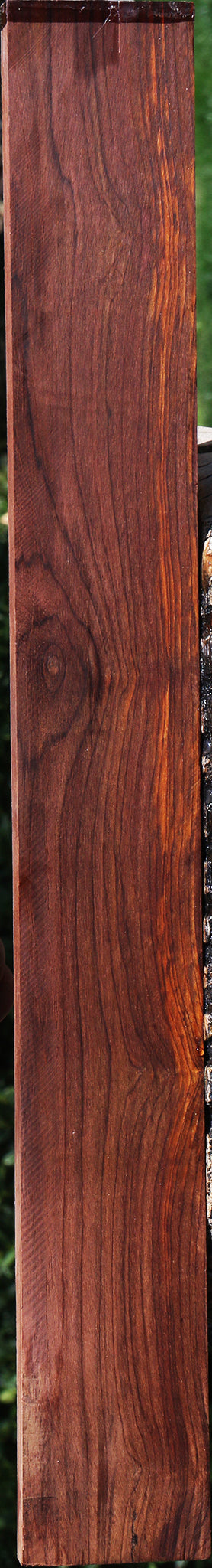 Cocobolo Lumber