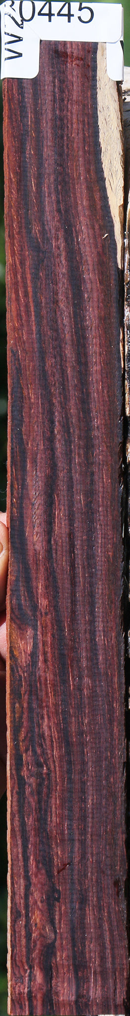 Cocobolo Micro Lumber