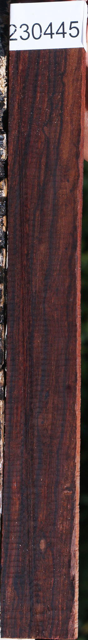 Cocobolo Micro Lumber