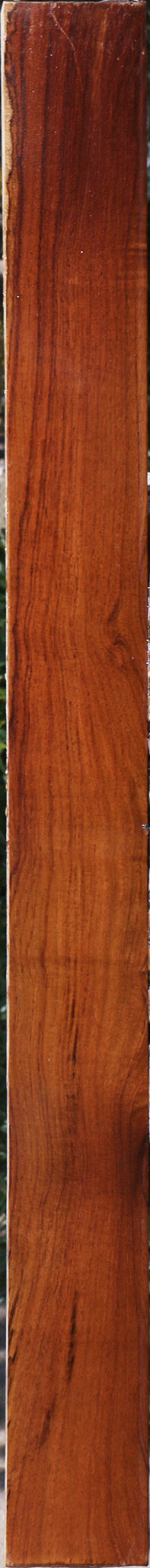 Cocobolo Lumber