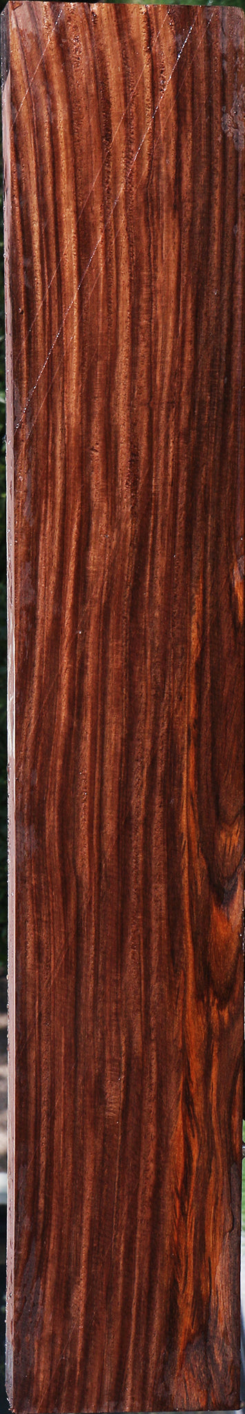 Figured Cocobolo Lumber