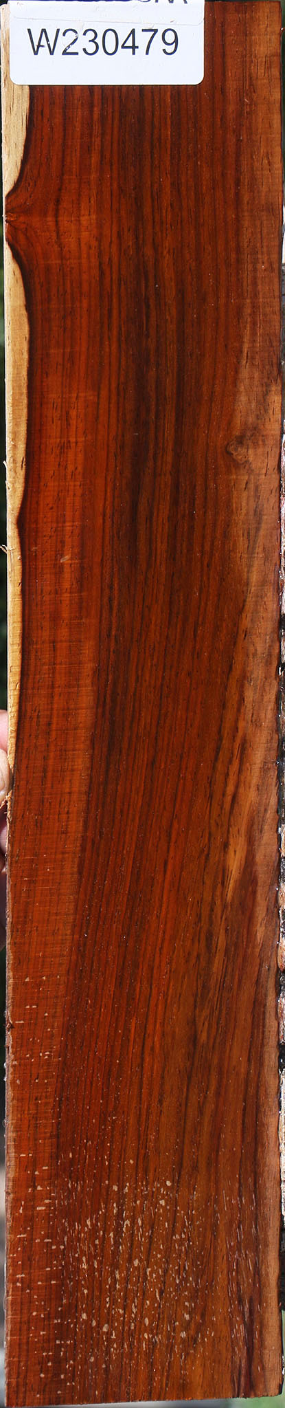 Cocobolo Micro Lumber
