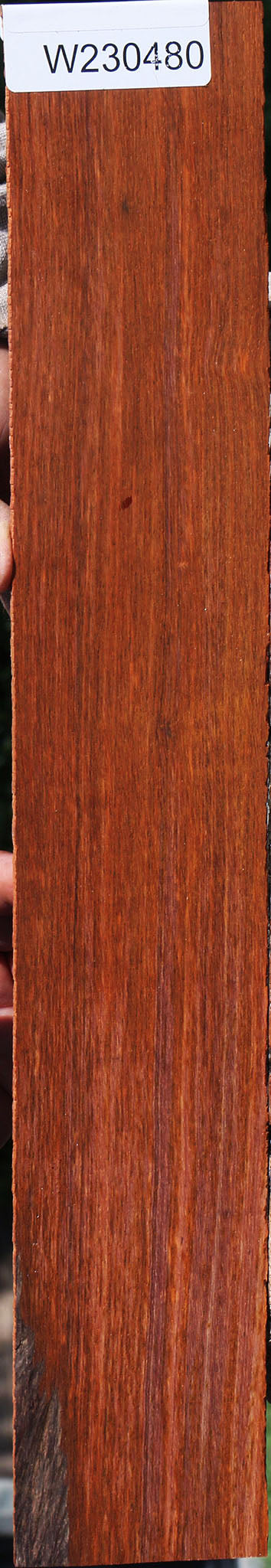 Cocobolo Micro Lumber