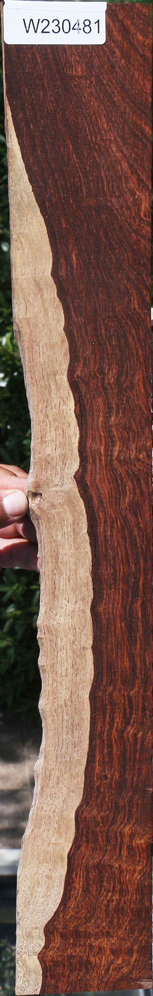 Extra Fancy Cocobolo Live Edge Micro Lumber