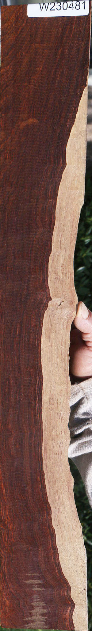 Extra Fancy Cocobolo Live Edge Micro Lumber