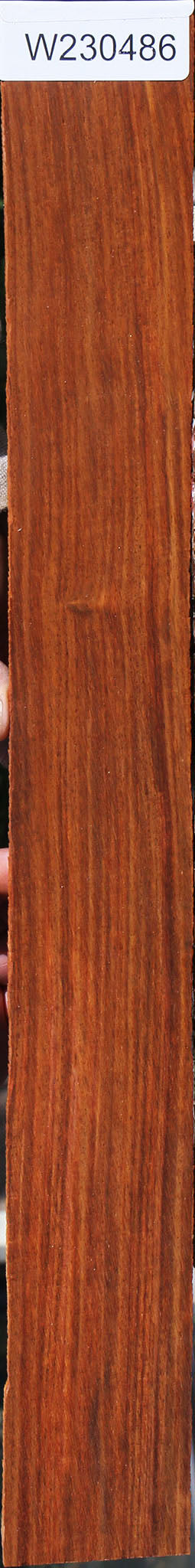 Cocobolo Micro Lumber
