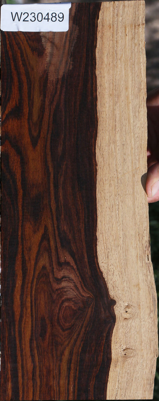 Figured Cocobolo Live Edge Micro Lumber