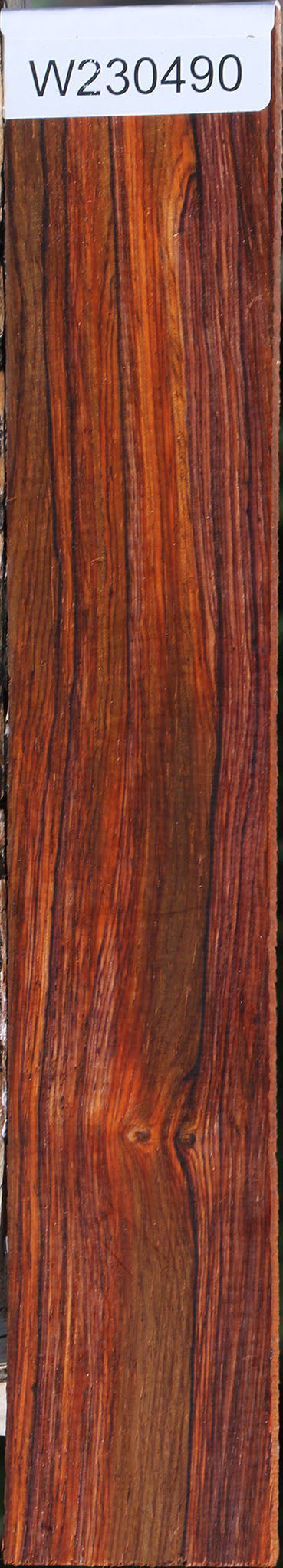 Figured Cocobolo Micro Lumber