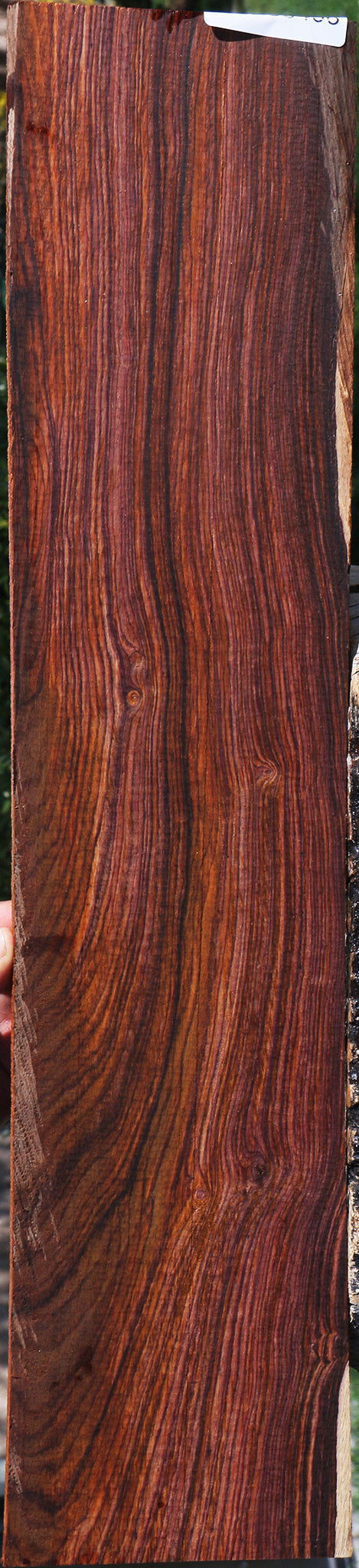Cocobolo Micro Lumber