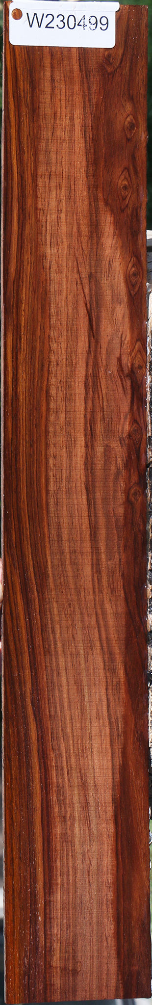Cocobolo Micro Lumber