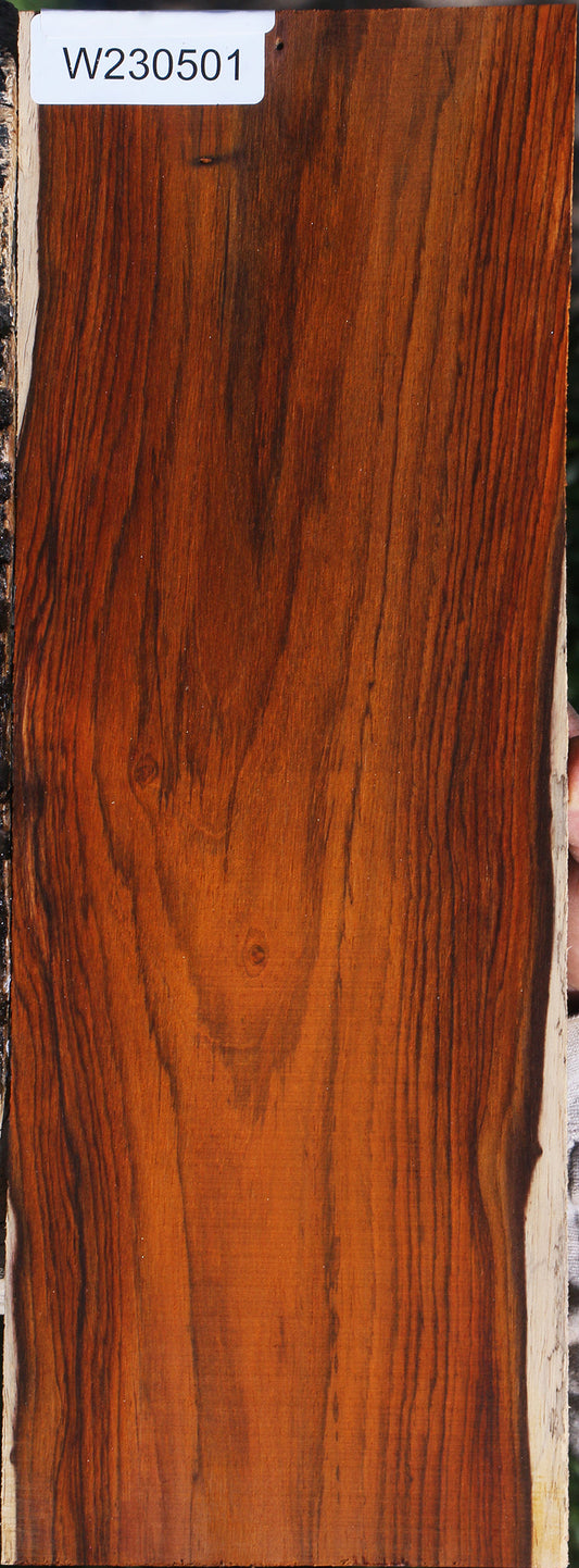 Cocobolo Micro Lumber