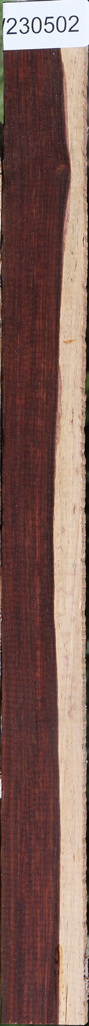 Cocobolo Micro Lumber
