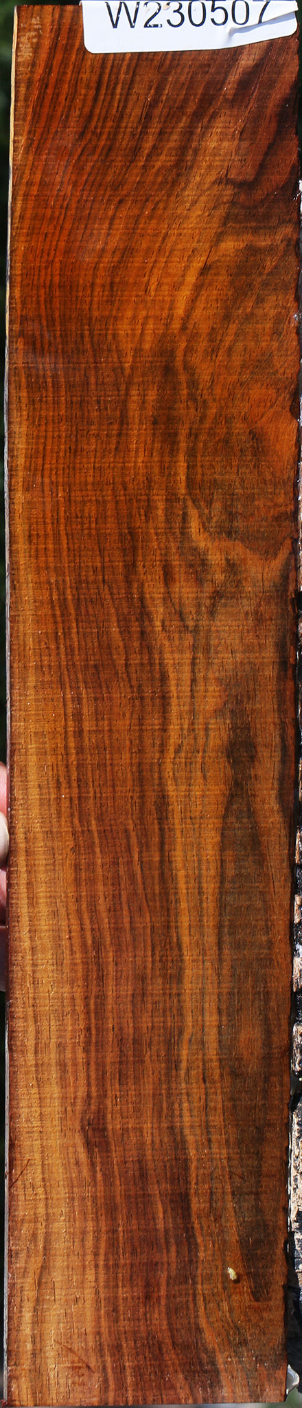 Figured Cocobolo Micro Lumber