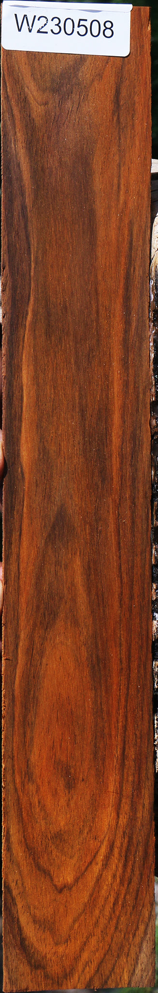 Cocobolo Micro Lumber