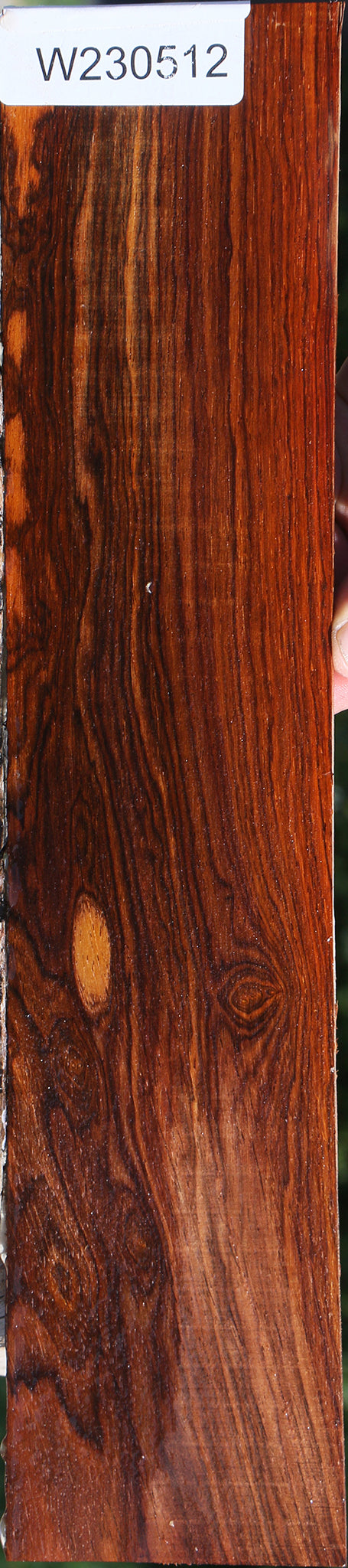 Cocobolo Micro Lumber