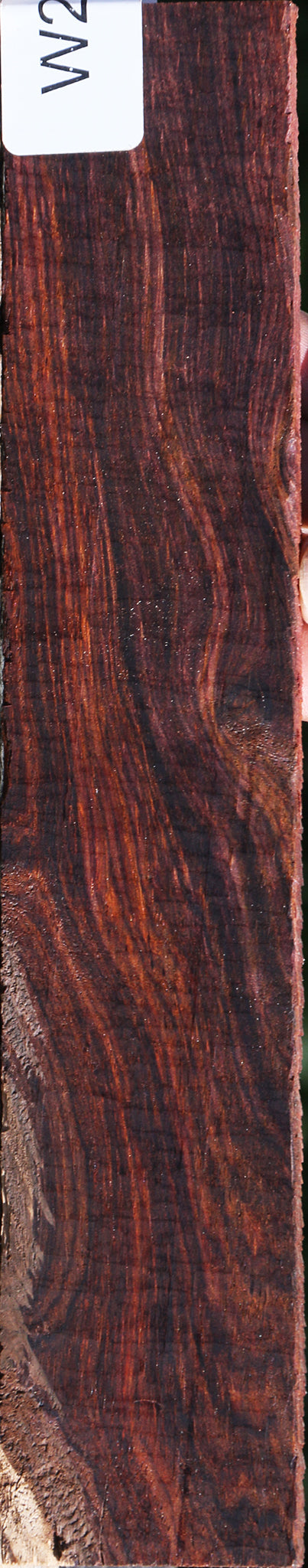 Extra Fancy Cocobolo Micro Lumber