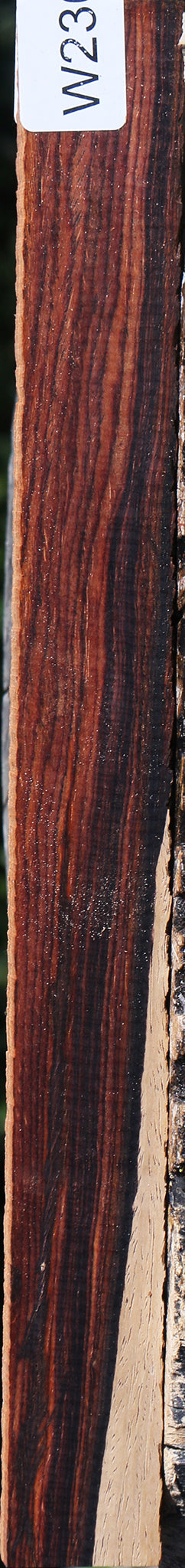 Cocobolo Micro Lumber