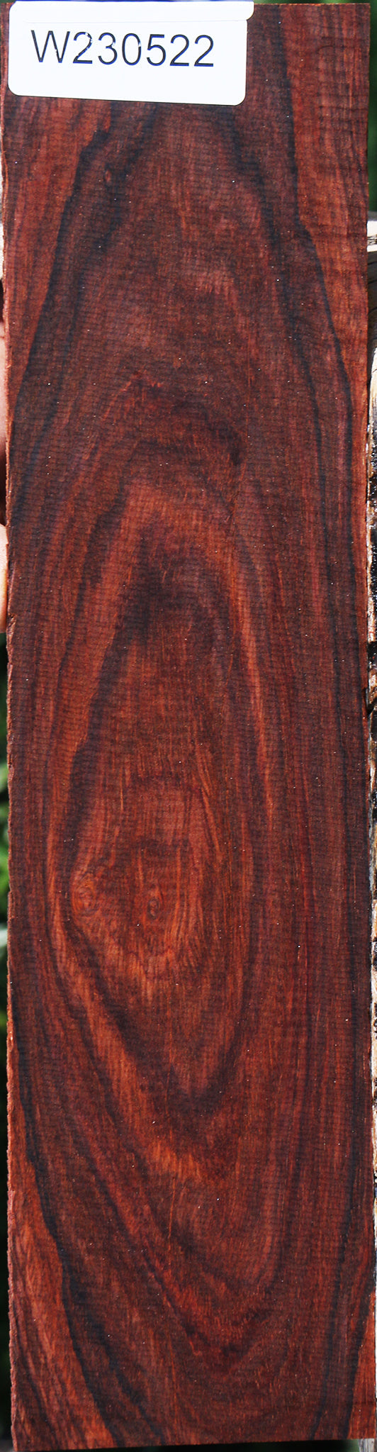 Cocobolo Micro Lumber