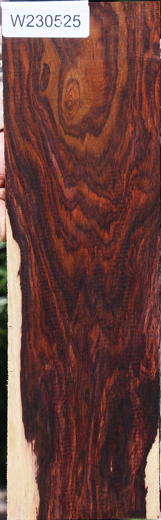 Extra Fancy Cocobolo Micro Lumber
