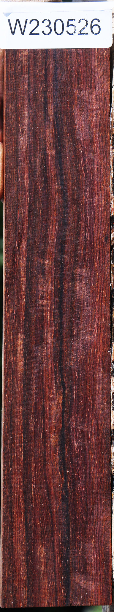 Extra Fancy Cocobolo Micro Lumber