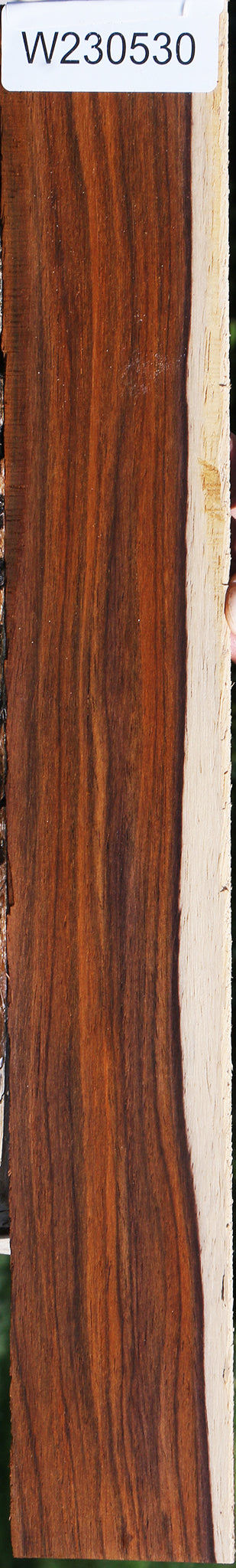 Cocobolo Micro Lumber