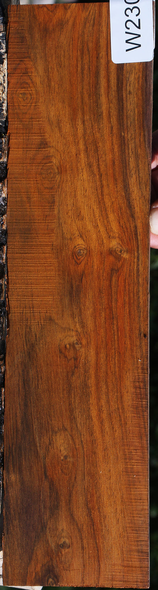 Figured Cocobolo Micro Lumber