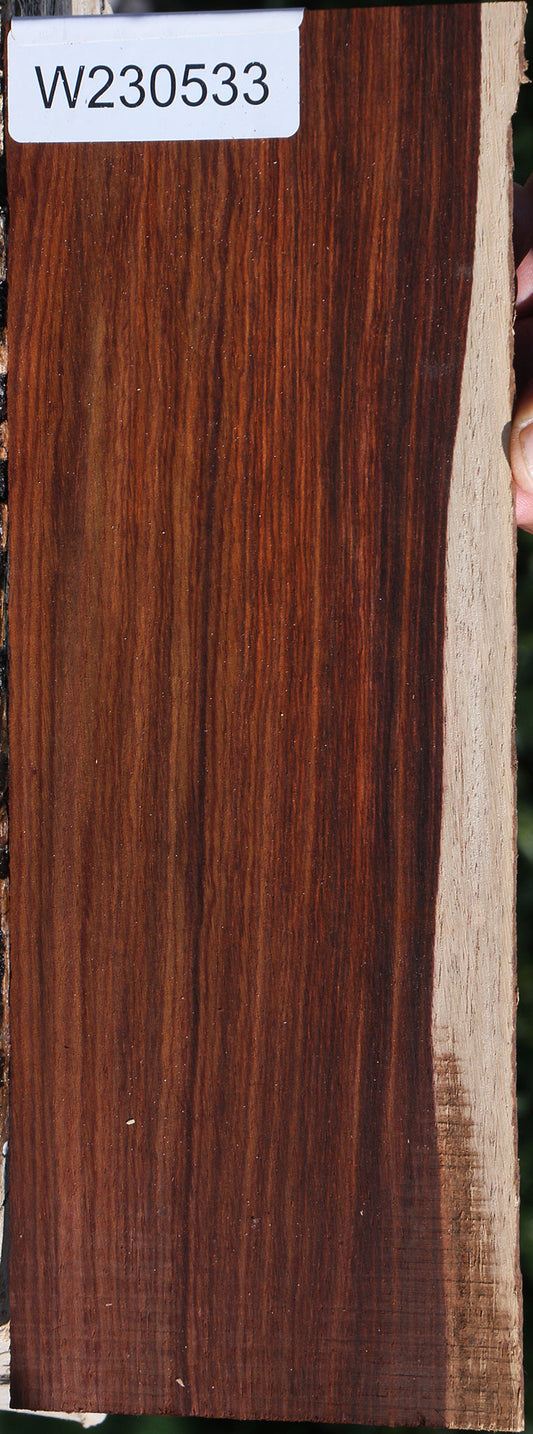 Cocobolo Micro Lumber