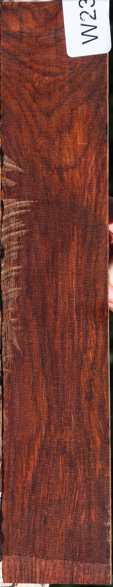 Cocobolo Micro Lumber