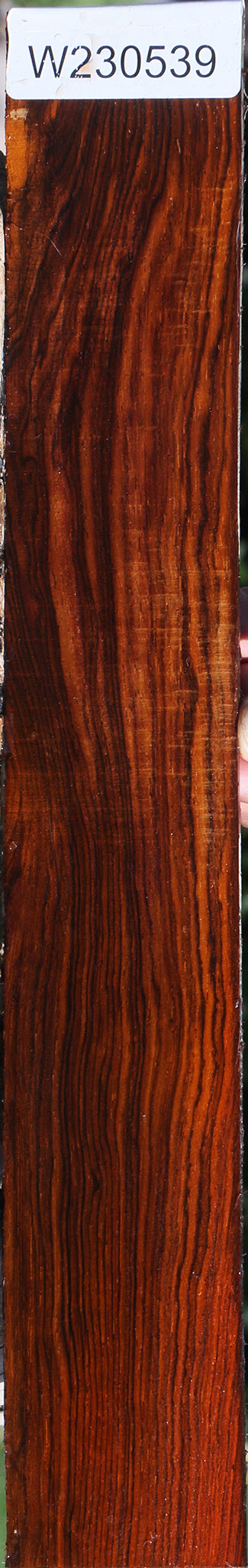 Cocobolo Micro Lumber