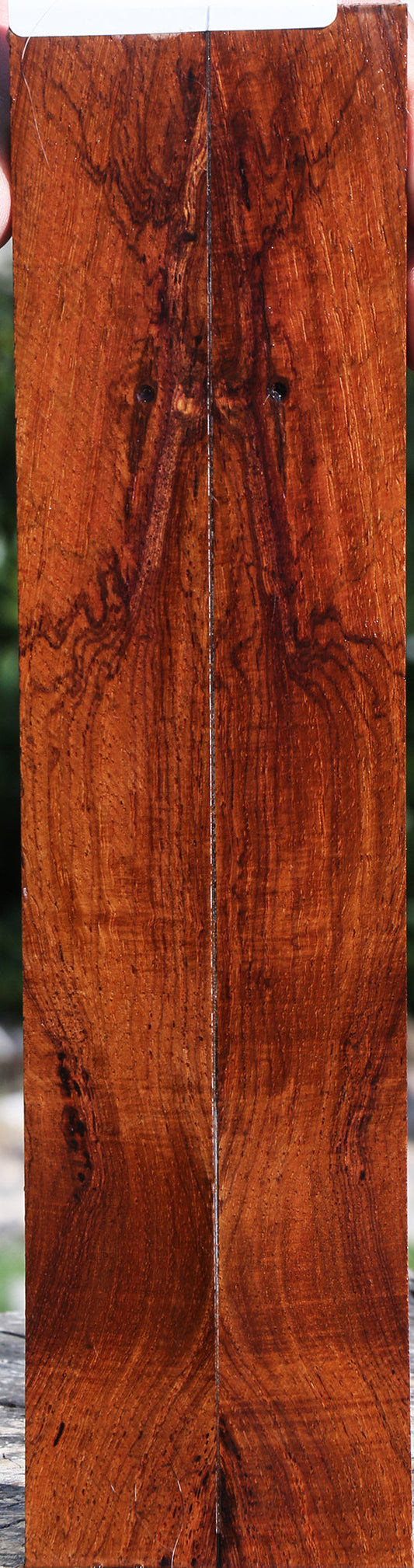 Figured Cocobolo Knife Scales