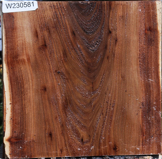 Elm Live Edge Bowl Blank