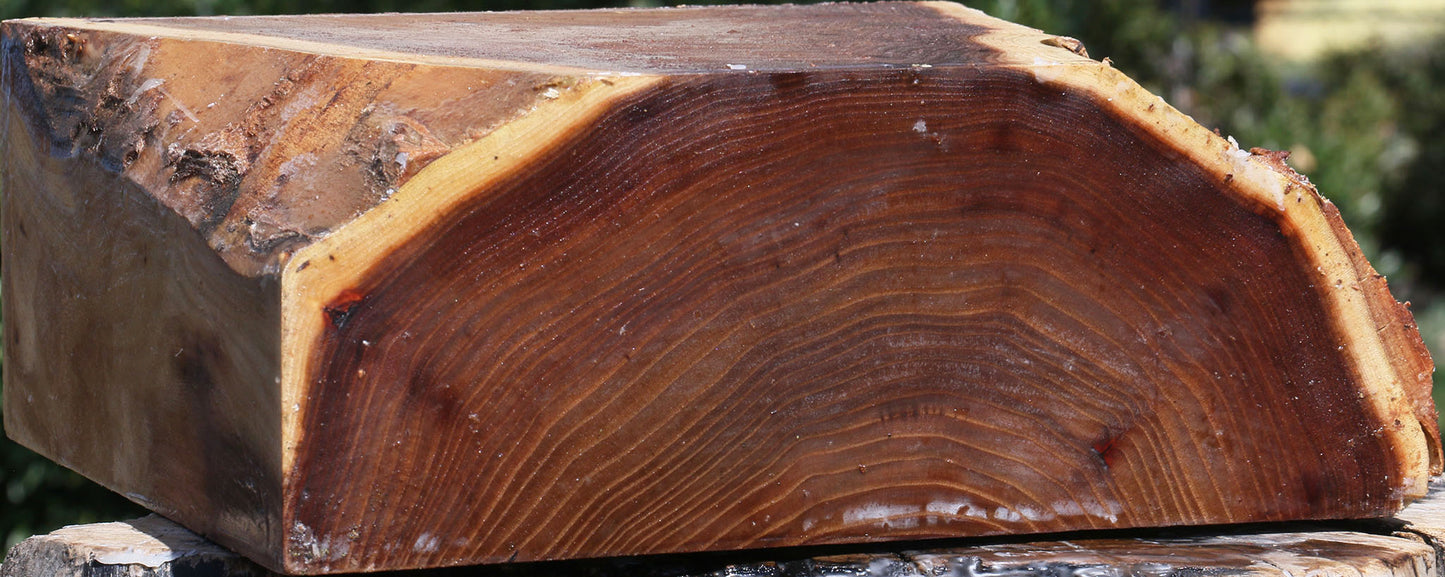 Elm Live Edge Bowl Blank