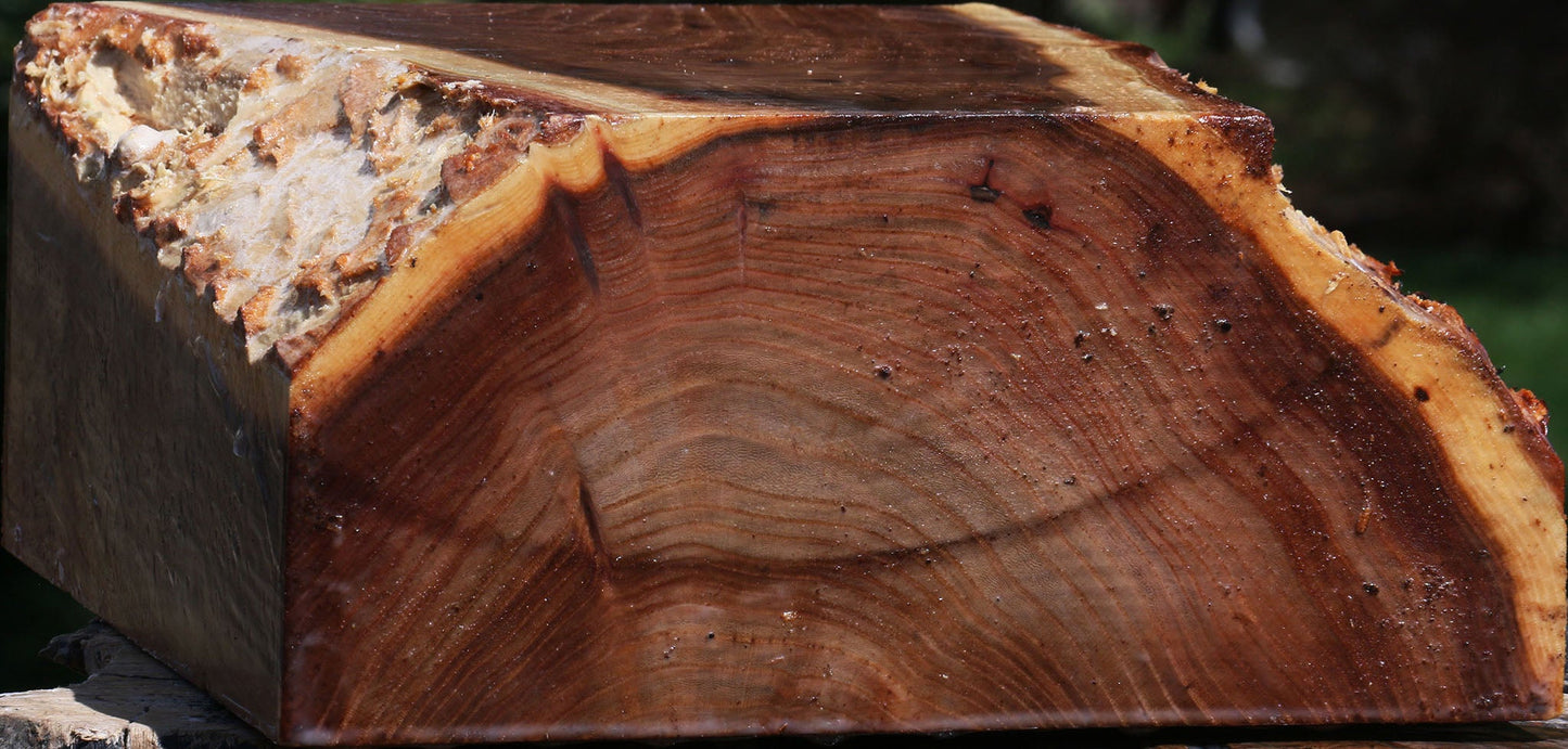 Elm Live Edge Bowl Blank
